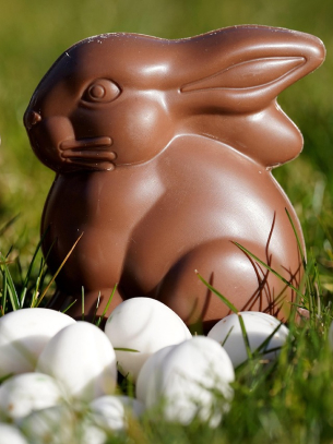 chocolate bunny