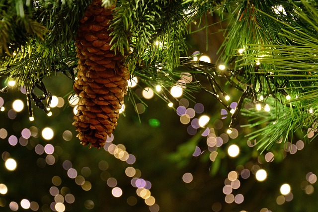 Pinecone with greens and christmas lights in the background