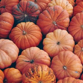 pumpkins