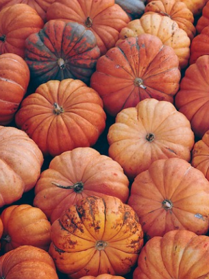 pumpkins