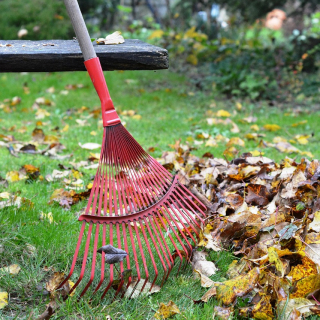 Rake with leaves
