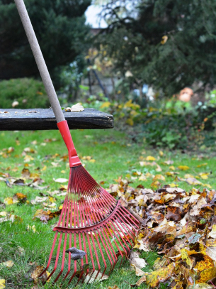 Rake with leaves